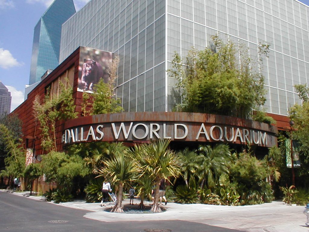venue patrol security - AAA Security Guards in San Antonio